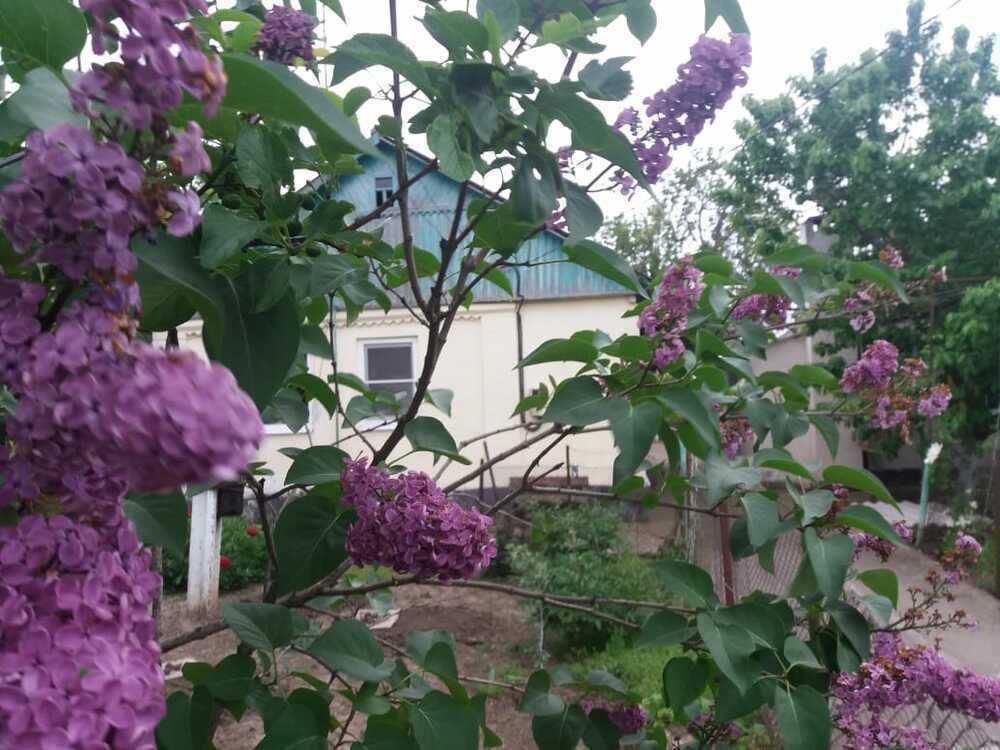 Дом на продажу в Нижняе Гостагайке фото №6