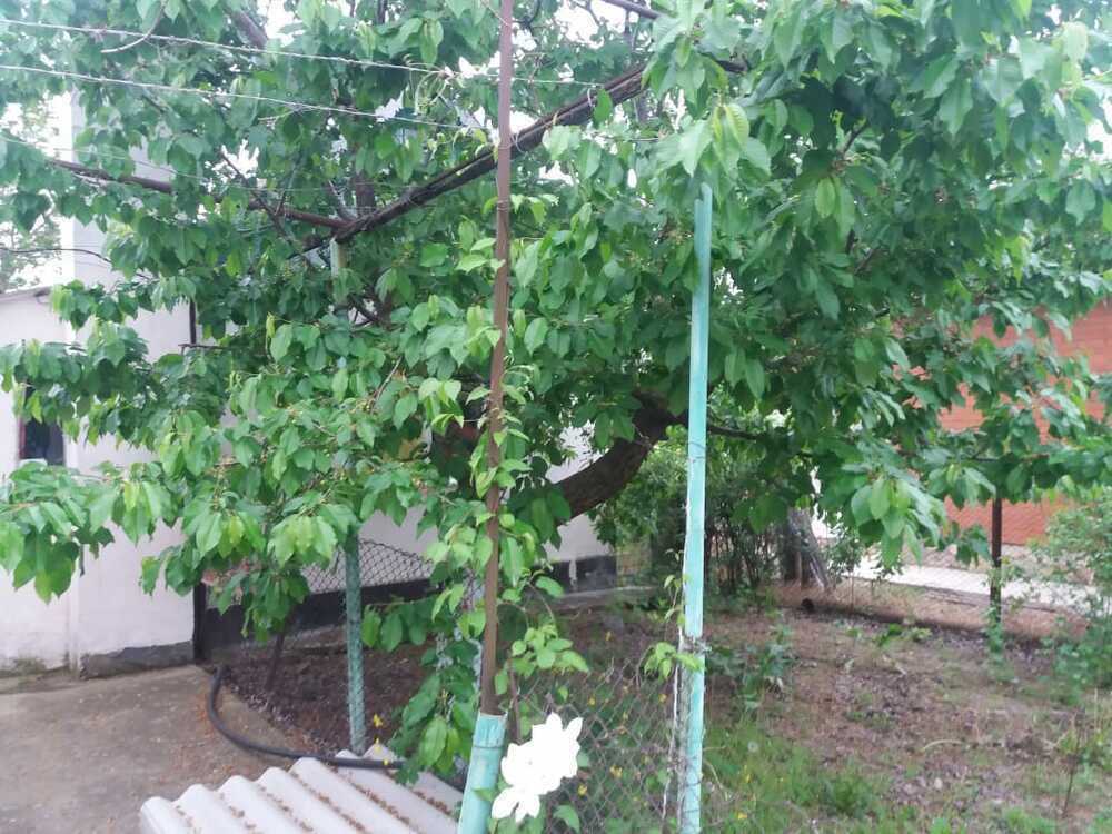 Дом на продажу в Нижняе Гостагайке фото №12