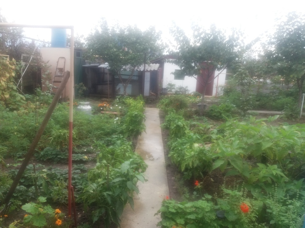 Дом на продажу в Нижняе Гостагайке фото №13